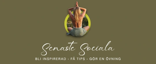 senasteSociala_Top01b